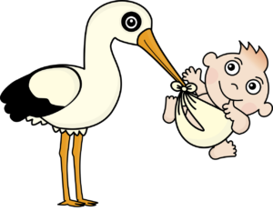 Stork holding a baby by the diaper image for the post: 9 Little-Known Facts About Birth